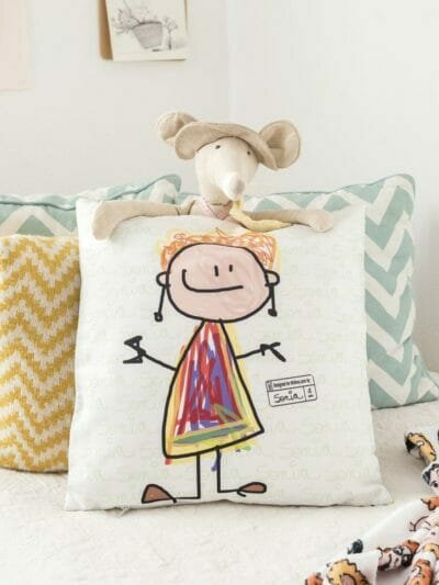 cojines personalizados mr broc dibujos